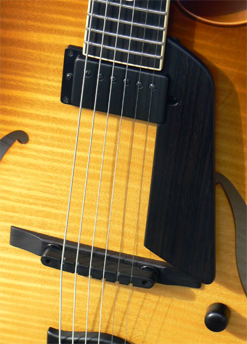 ThreeDots Guitars Model S Sadowskyセミハード付 ThreeDots Guitars Model S Sadowskyセミハード付 SadowskyNYC Custom